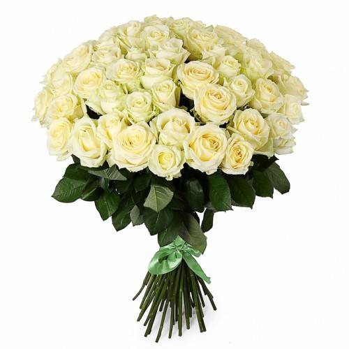  Заказ цветов в Анталия‎  51 шт. Белая роза класса