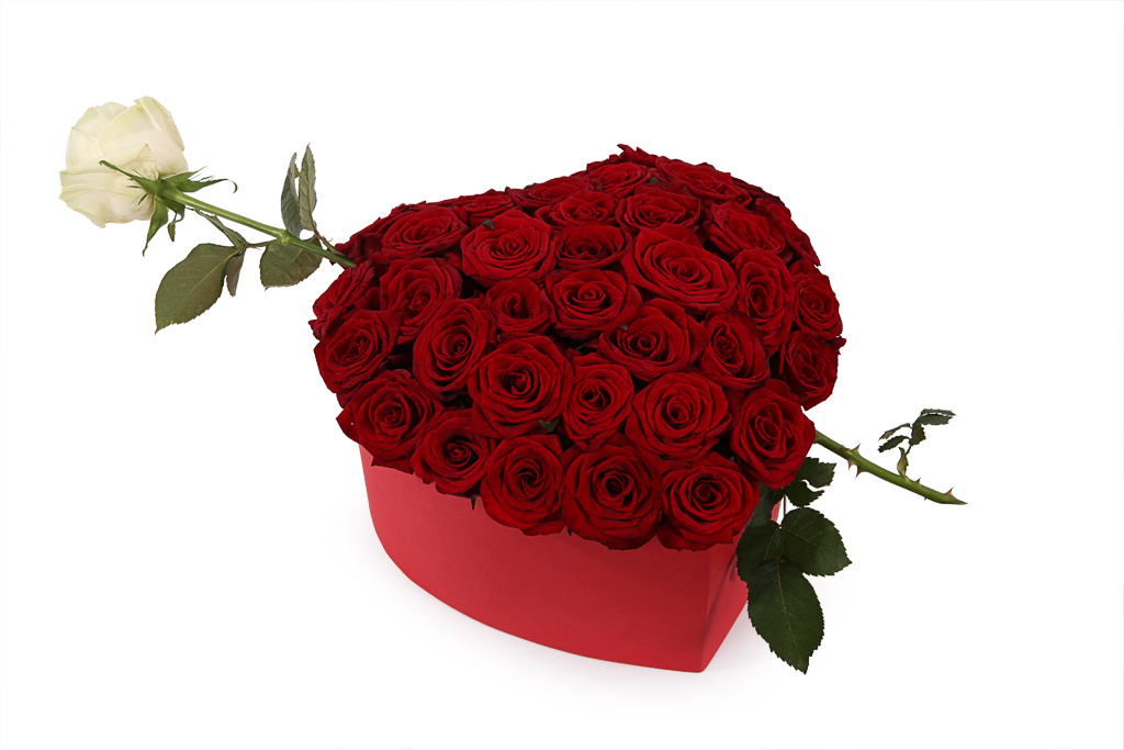  Antalya Florist Heart Box Rose