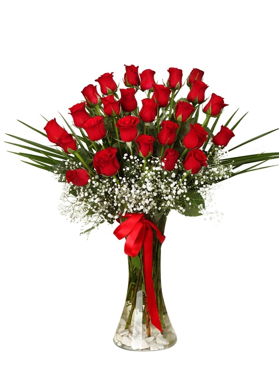  Antalya Flower Order 25 Red Rose Vase