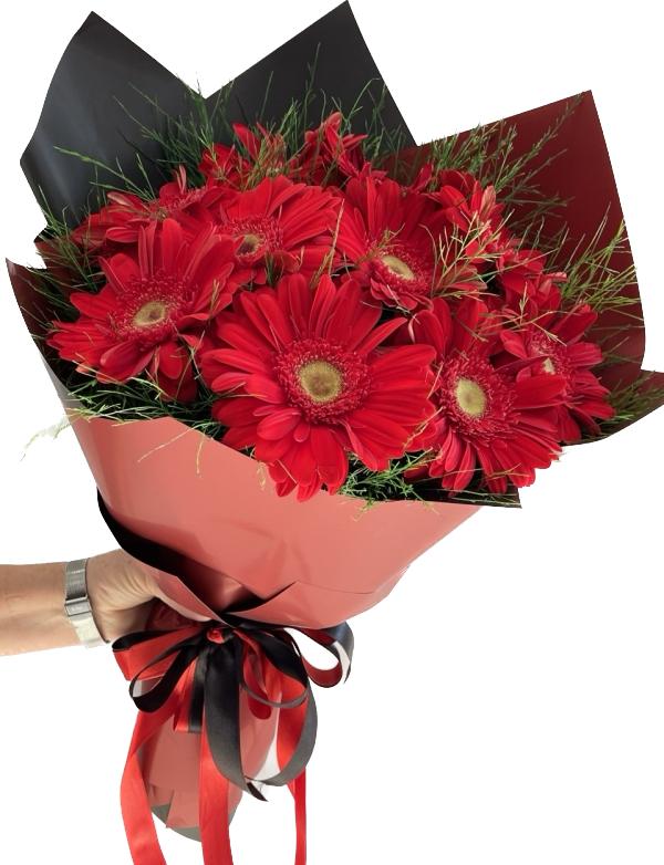  Antalya Florist 11 Pieces Red Gerbera Bouquet