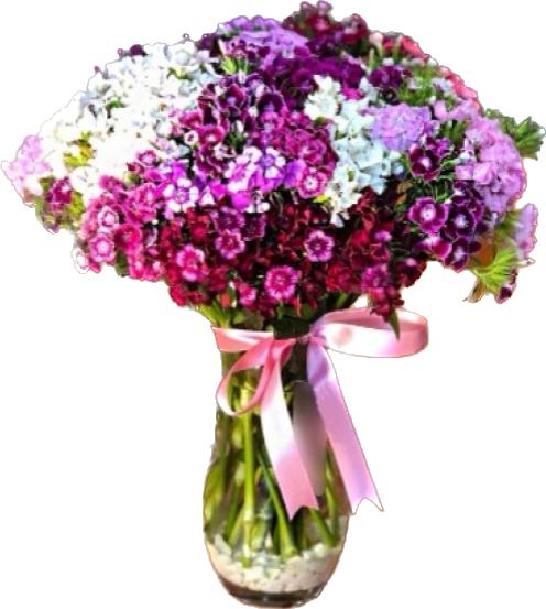  Antalya Çiçekçiler Vazoda Hüsnüyusuf Çiçeği