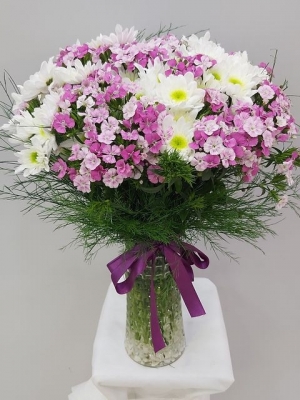  Antalya Flower Chrysanthemums and Choruses in a Vase