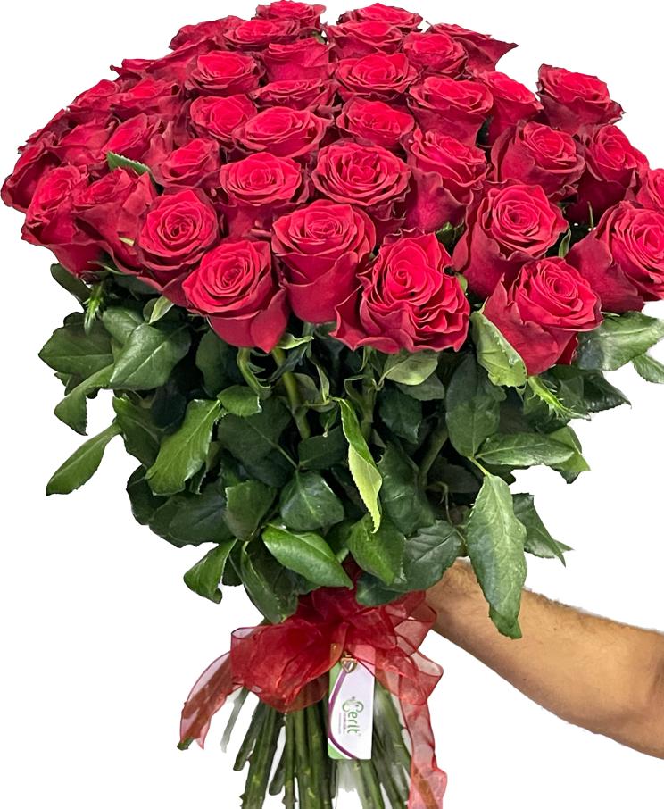  Antalya Flower 41 Red Roses 1st class