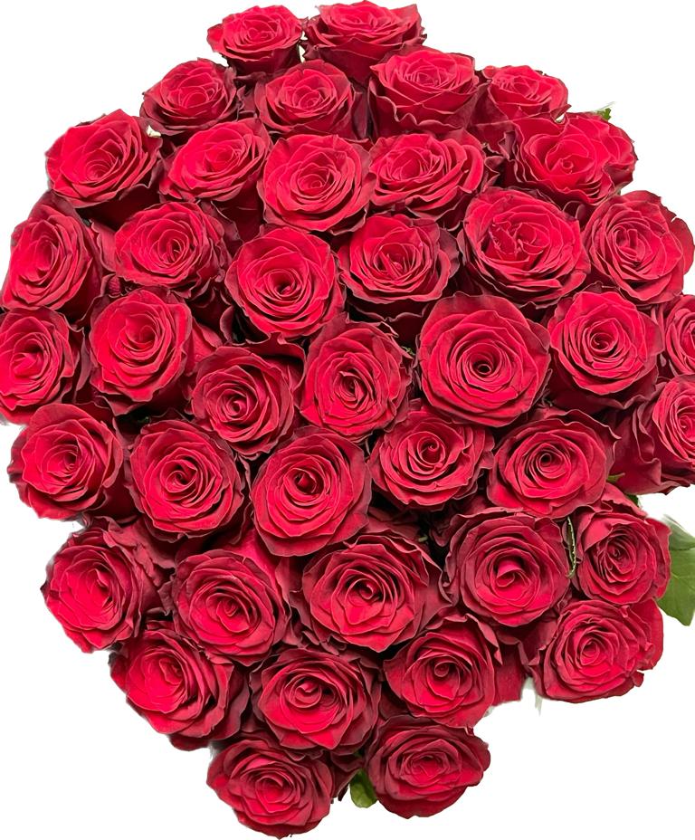  Antalya Çiçek Gönder 41 Adet Kırmızı Gül 1.sınıf