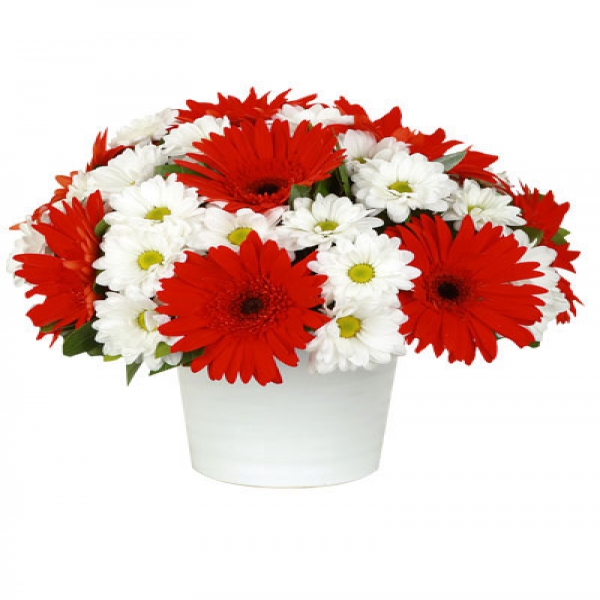  Цветок в Анталия‎  Хризантемы герберы в керамической вазе
