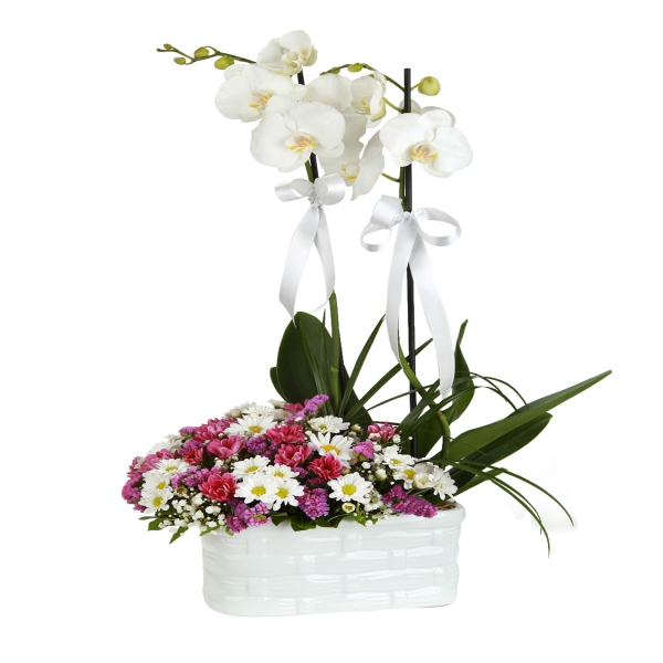  Цветок в Анталия‎  Орхидея и сезонная композиция в керамической вазе