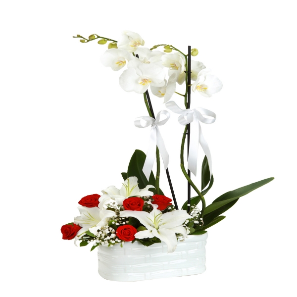  Antalya Çiçek Gönder Seramik Vazoda Orkide & Lilyum Güller