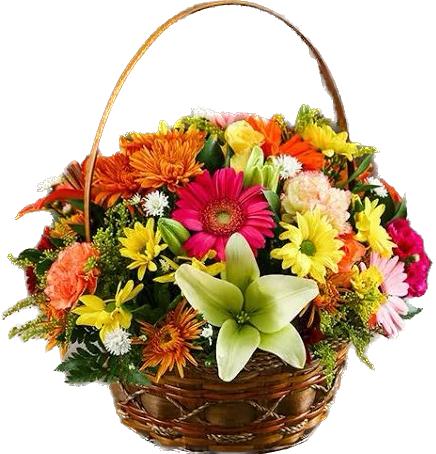  Заказ цветов в Анталия‎  Элегантная композиция из гербер и лилий в корзине