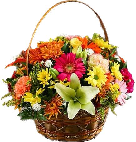  Antalya Florist Elegant Arrangement of Gerbera Lilies in a Basket