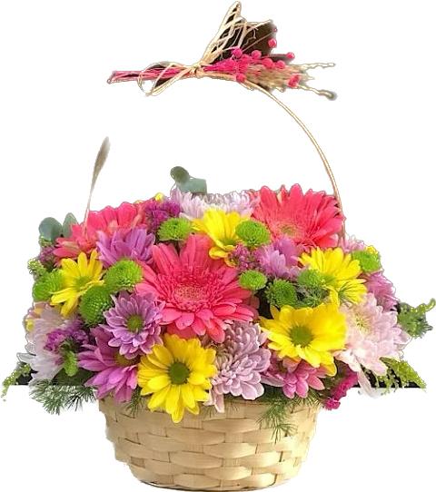  Antalya Flower Order Chrysanthemum Daisy Arrangement in Basket