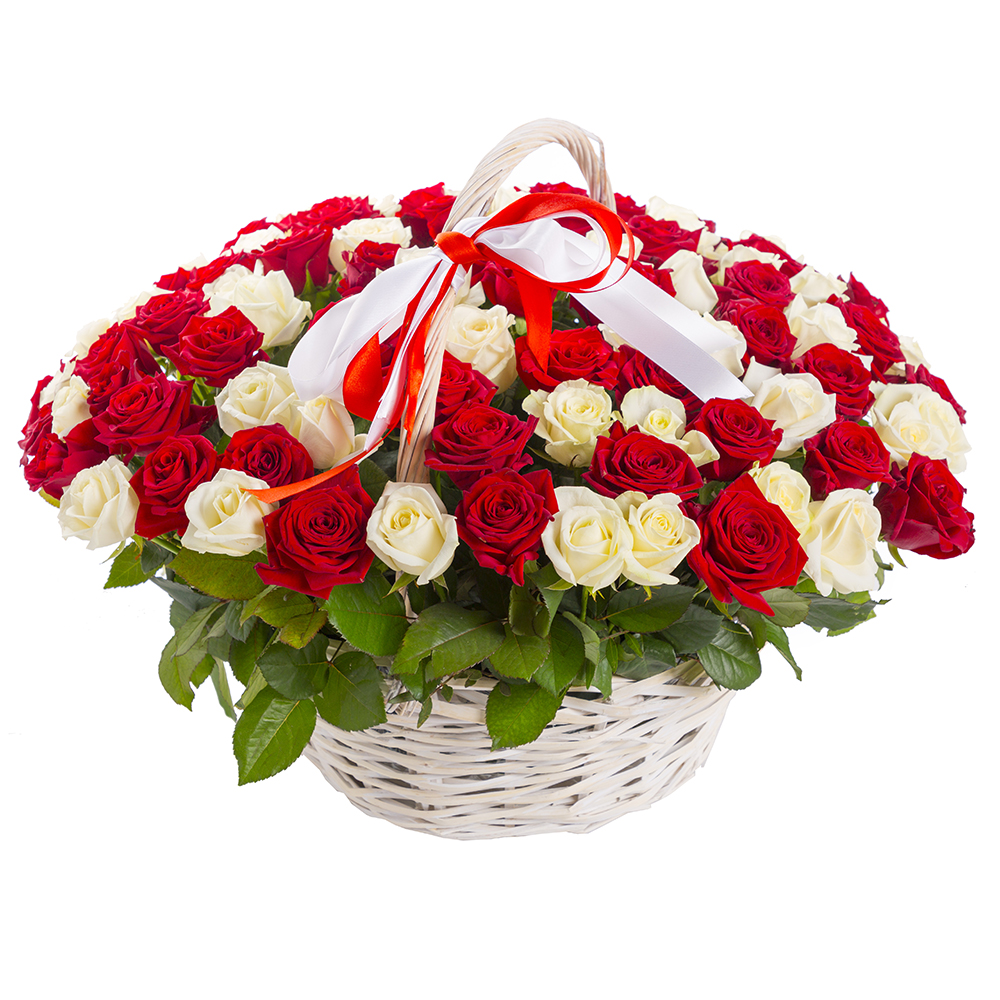  Флорист в Анталия‎ 101 бело-красная роза в корзине