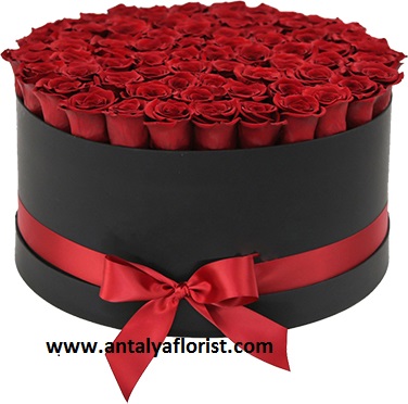  Antalya Flower Delivery Box 81 pc Red Rose