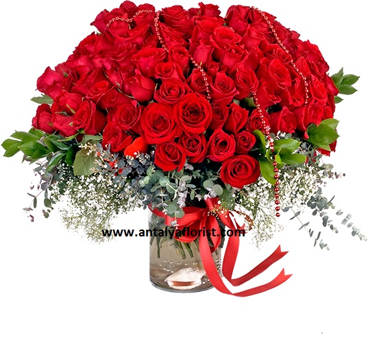  Antalya Çiçek Siparişi 101 Adet Kırmızı Gül Vazoda