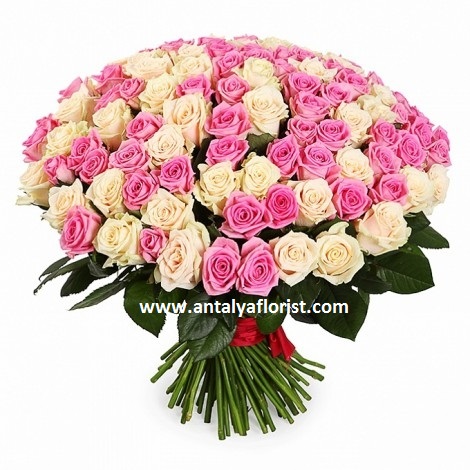 Antalya Florist 101pc White And Pink Rose