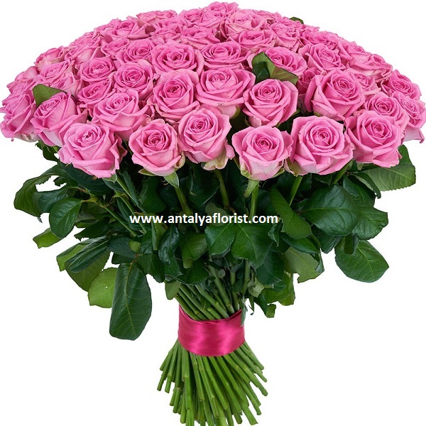  Antalya Flower 101 pc Pink Roses