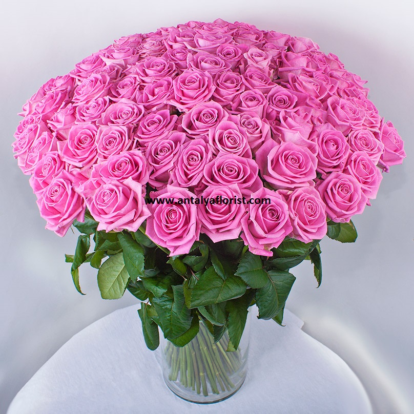  Antalya Flower 101 pc Pink Roses Vase