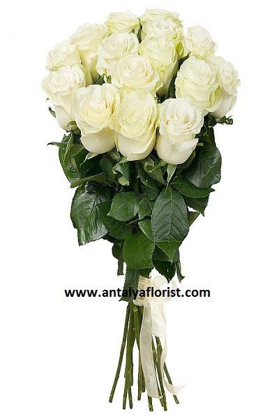  Antalya Flower 15 pc White Roses