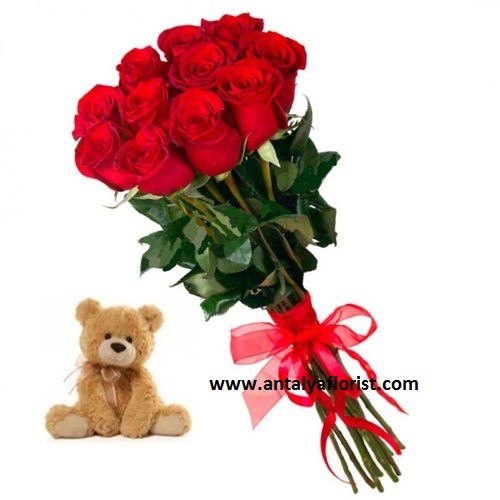  Antalya Flower Order 11pc Red Rose & Teddy Bear