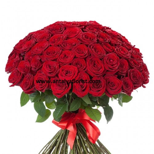 Antalya Florist 51 pc Red Roses