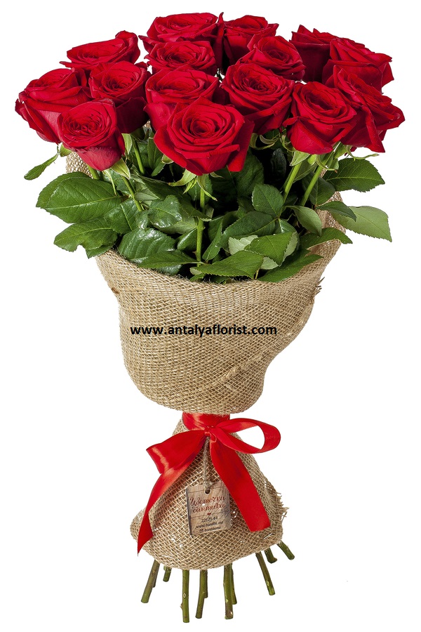 Antalya Florist 15 pc Red Rose 