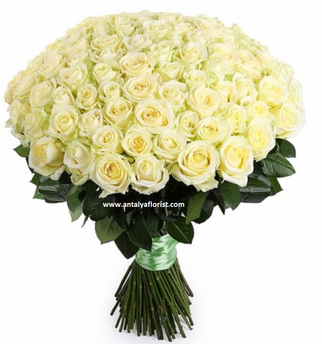  Antalya Blumen 101 Rose Bouquet White