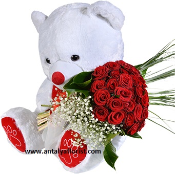  Antalya Blumenlieferung Teddy Bear&35 Red Roses