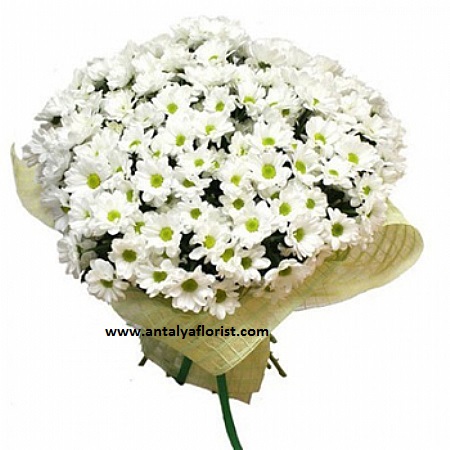  Antalya Florist 29pc White Daisy Bouquet