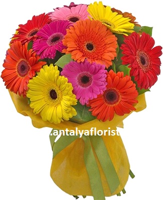 Antalya Florist 