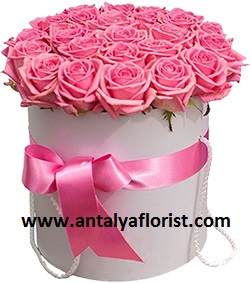  Antalya Blumenlieferung Box 25pc Pink Rose