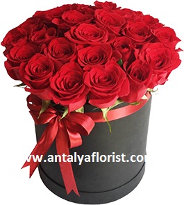  Antalya Flower Box 25pc Red Rose