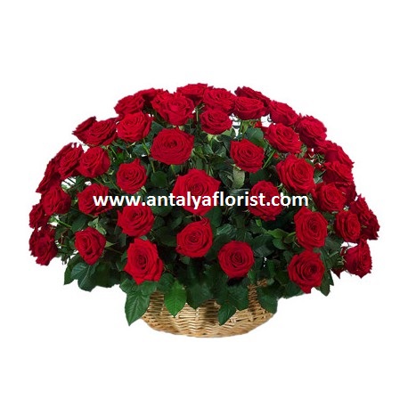  Antalya Blumenbestellung Basket 51pc Red Roses