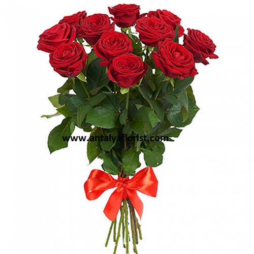  Antalya Flower Order 11 Red Rosa