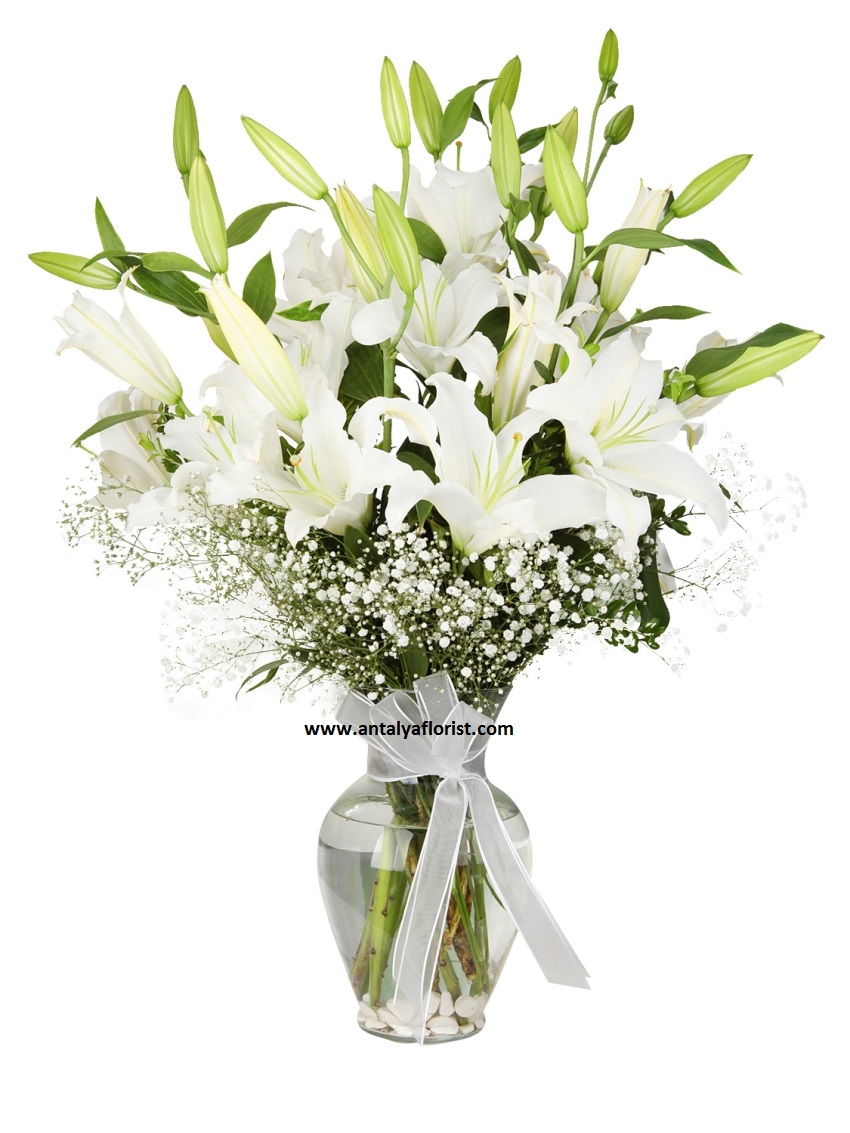  Antalya Blumen White Lilium Vase