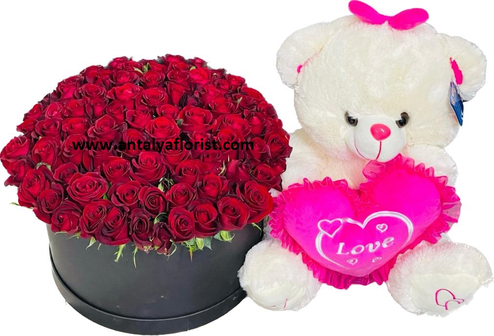  Antalya Flower Delivery 71 PCS RED ROSE & TEDDY BEAR