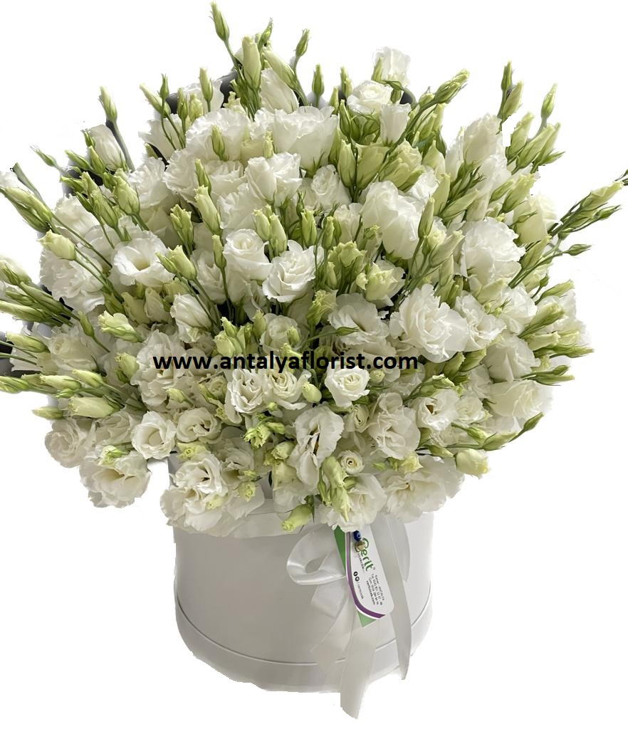  Antalya Flower Order Lisyantus Arrangement in a White Box