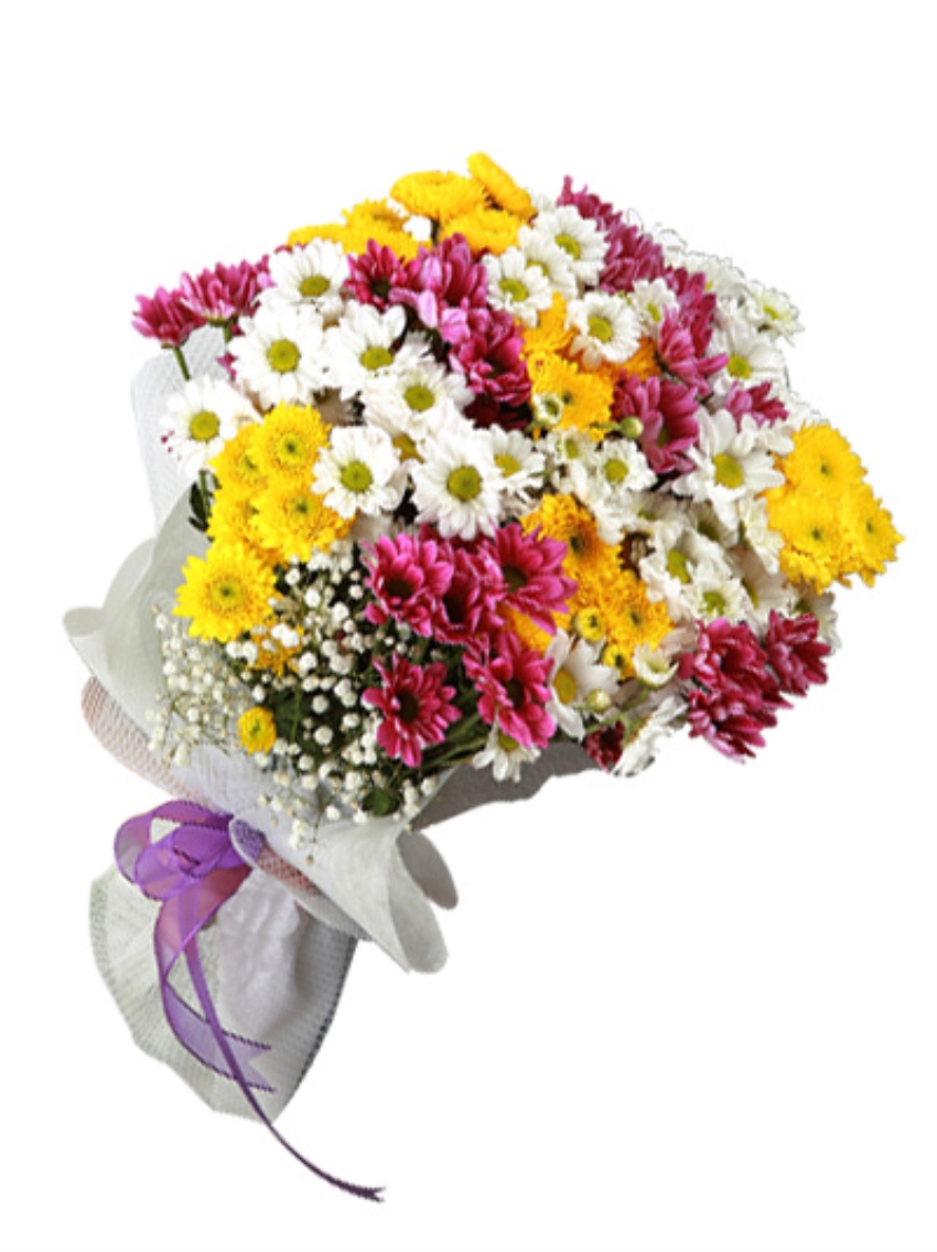  Antalya Flower 29pc Chrysanthemum  Bouquet