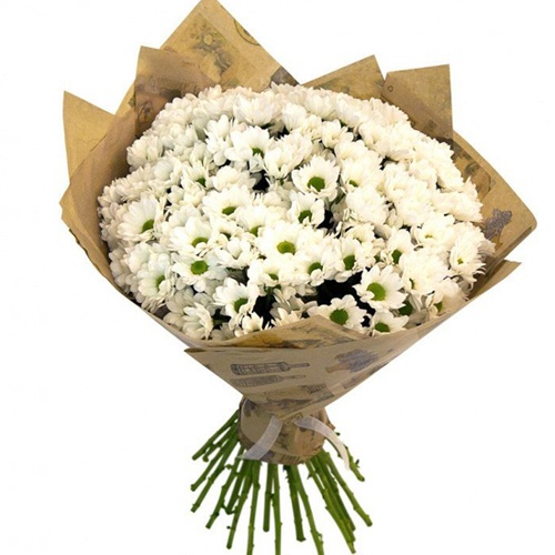  Antalya Flower Delivery White Chrysanthemum  Bouquet