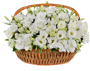  Antalya Blumenlieferung 51 pc Basket white Lisyantus