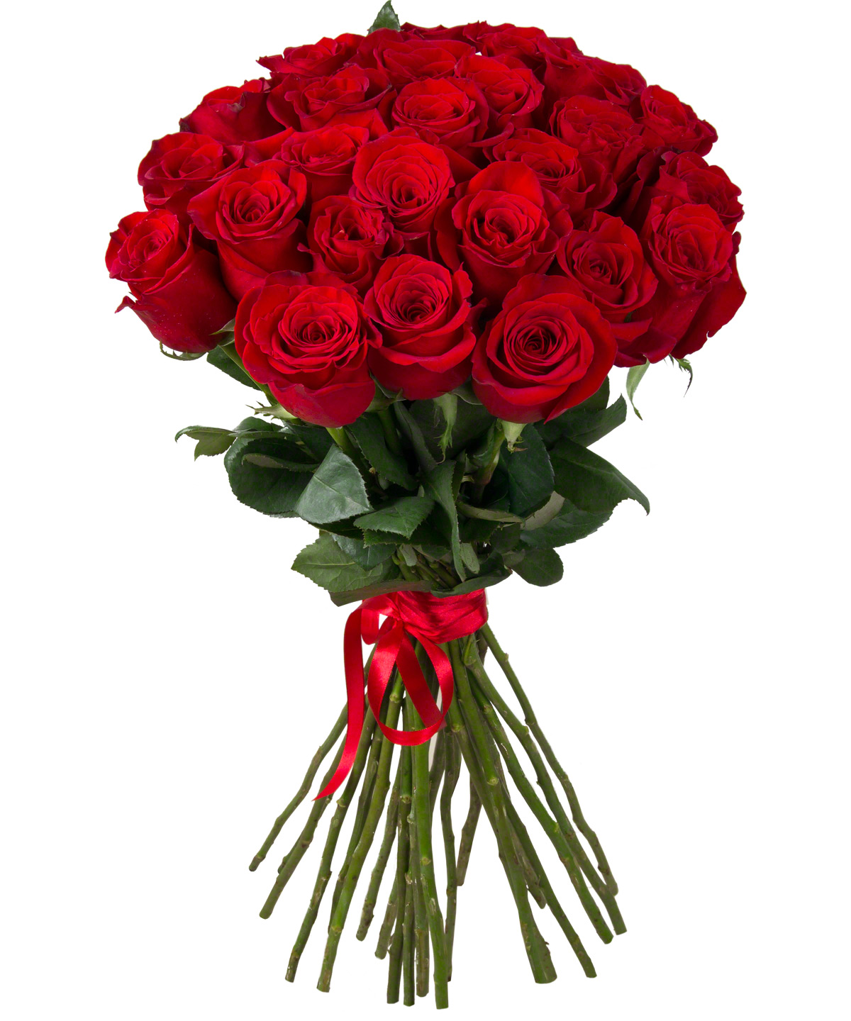  Antalya Florist 25 Pieces 60 Cm Simple Red Rose Bouquet