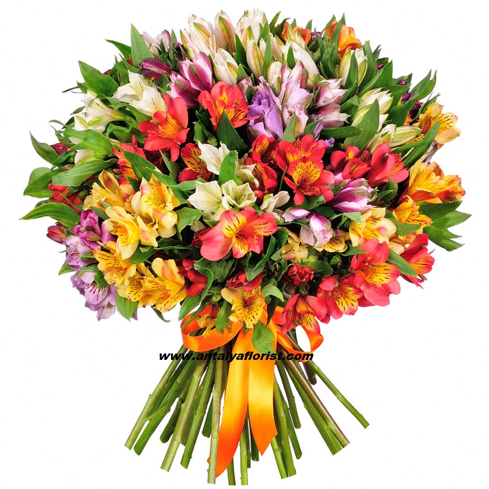  Antalya Blumen 51 Pc Colorful Astomeria Bouquet