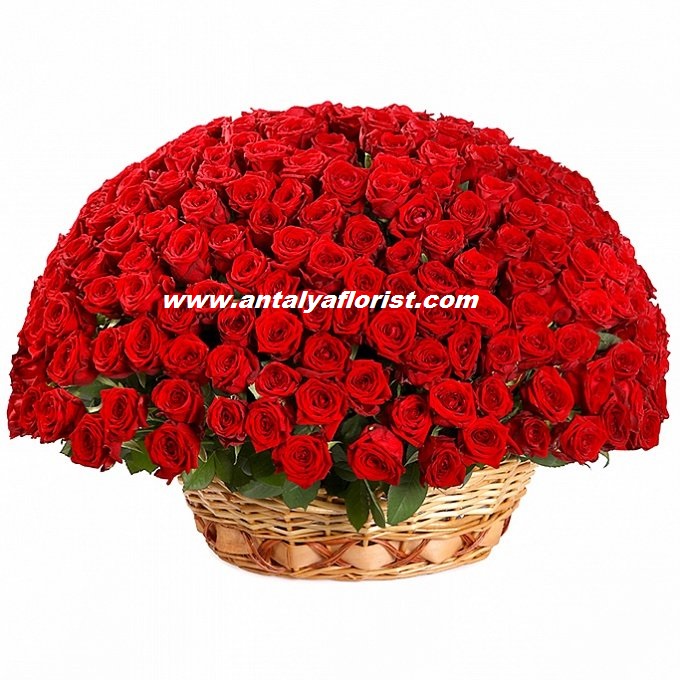 Antalya Florist 251 Red Roses Basket