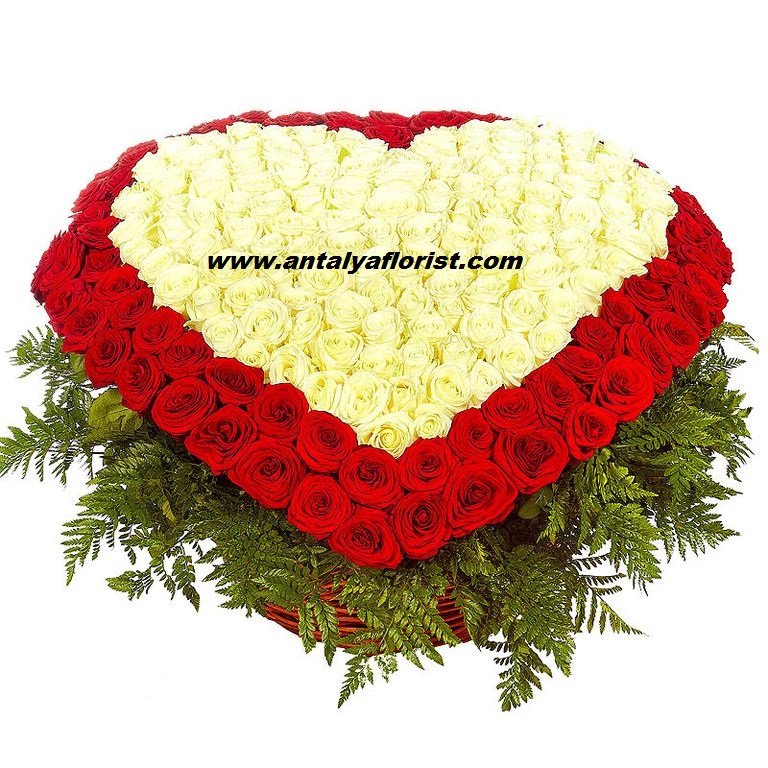  Antalya Blumenbestellung 351 pc Roses Heart Large Basket