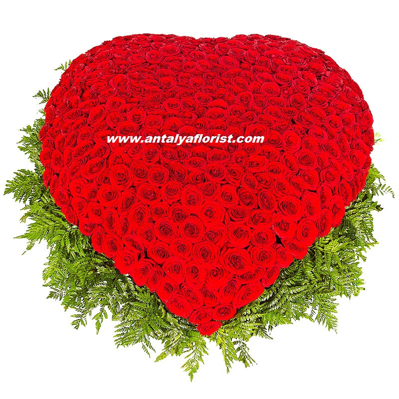  Antalya Florist 501 pc  Red Roses Basket