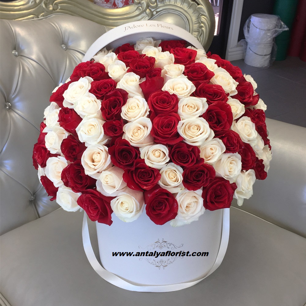  Antalya Çiçek Kutuda 101 adet Kırmızı Beyaz Gül