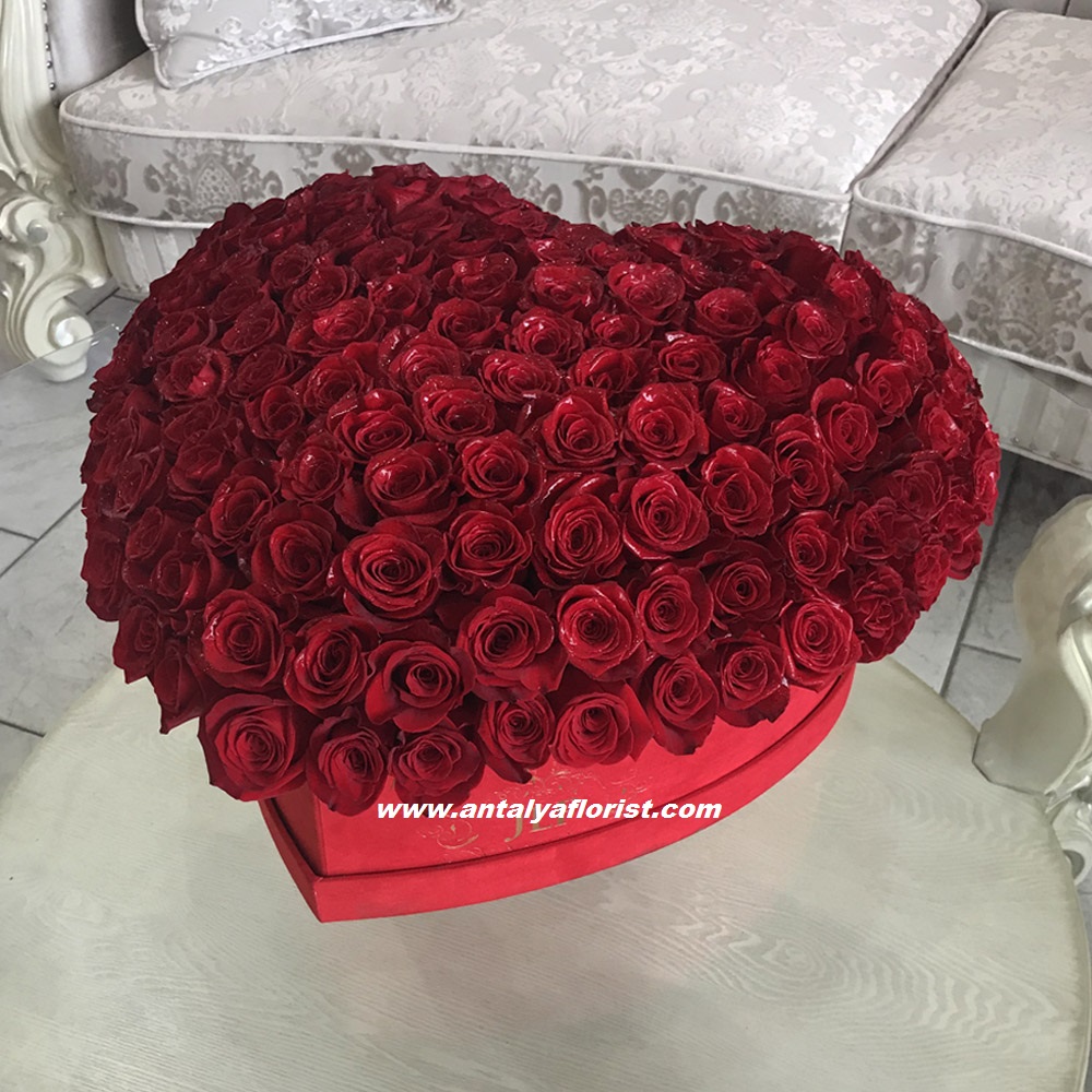 Antalya Çiçekçi Kalp Kutuda Kırmızı Gül 81 Adet