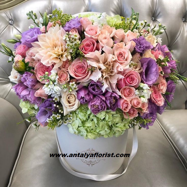  Antalya Flower Order Stylish Arrangement in Box