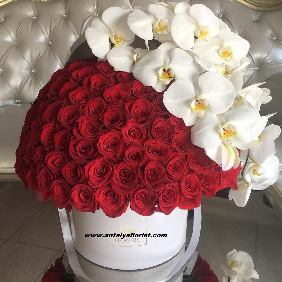  Antalya Florist Orchids Rose Arrangement